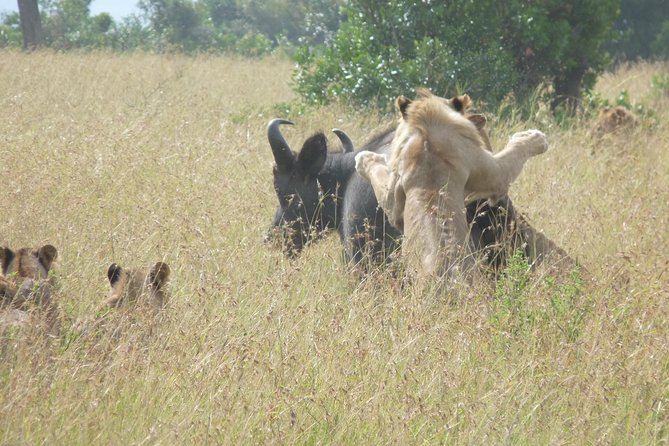4-Day Masai Mara Big Five Safari - Day 4 in Nairobi: A Return Drive, Lunch En Route, and Time to Land Back
