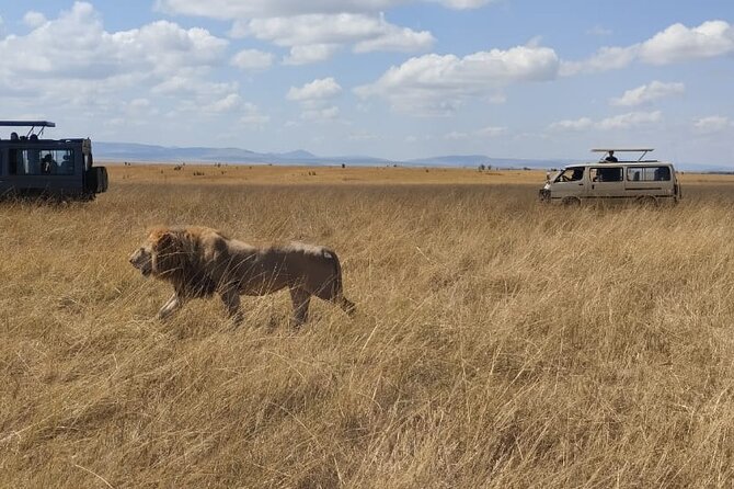4-Day Masai Mara, L Naivasha and L Nakuru Safari - A 4-day circuit that links Mara, Naivasha, and Nakuru