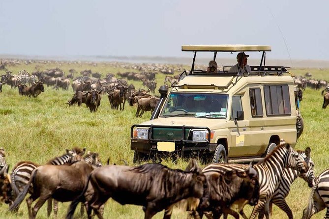 4 Day Masai Mara & Lake Nakuru Group Joining Camping Safari - Daily Departures - Key Highlights Worth Booking For