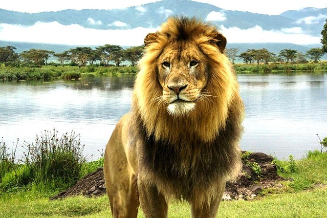 4 Day Masai Mara & Lake Nakuru Group Joining Camping Safari - Daily Departures - Maasai Mara Full Day With Mara River Time