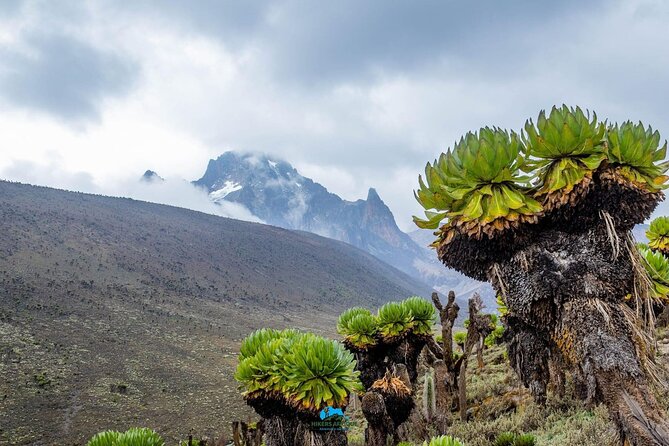 4 Day Mount Kenya Trek Up Chogoria Down Sirimon - Day 3: The Temple Cliff Drop and a Night at Austrian Hut (4790m)