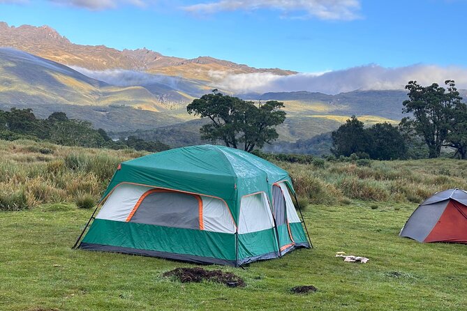 4 Day Mount Kenya Trek Up Chogoria Down Sirimon - Guides, Group Size, and the Human Side of the Trek