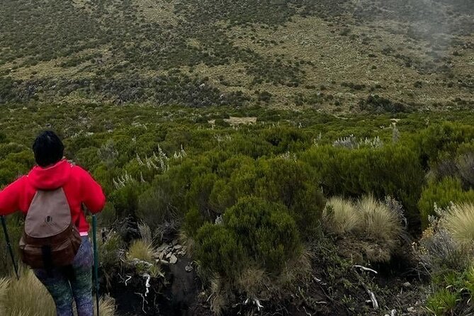 4-Day Mount Kenya Trekking with Pick Up - Day 2: Old Moses to Shiptons Camp at 4,200m for the Long Middle Day