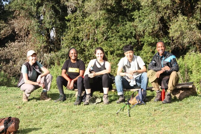 4-Day Mount Kenya Trekking with Pick Up - What the Praise Really Points To: Guides, Organization, and Feeling Safe