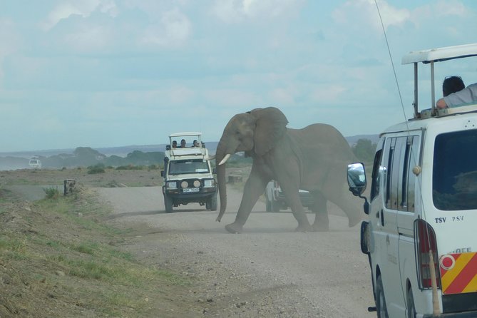 4 Day Private Masai Mara National Reserve & Lake Nakuru National Park Safari - Key things to know before you go