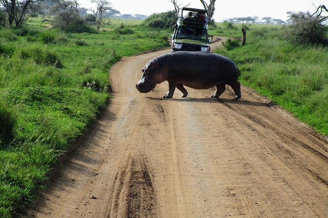 4-Day Tour in Lake Nakuru, Lake Naivash, Masai Mara from Nairobi - Key things that make this safari special