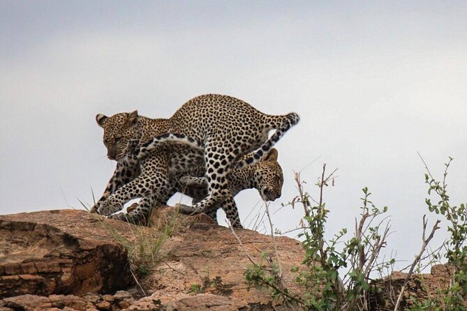 4-Day Tour in Lake Nakuru, Lake Naivash, Masai Mara from Nairobi - Nairobi to Lake Naivasha: escarpment views and a hippo-friendly boat