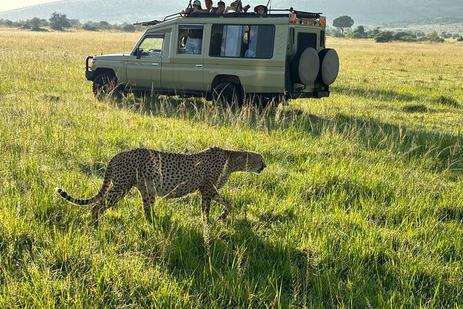4 Days 4WD Private Maasai Mara, Nakuru Parks with Lodge LUXURY - Maasai village tour in between parks: culture adds meaning to the game drives