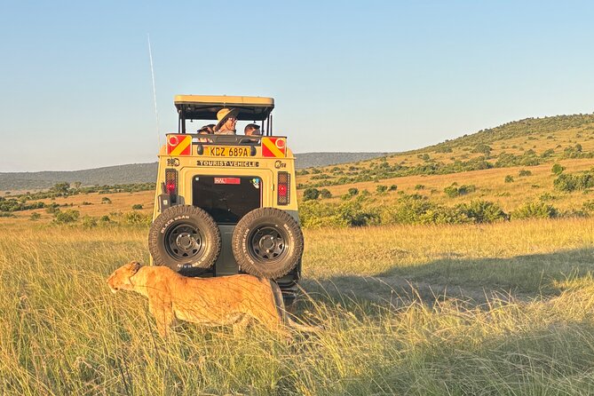 4 Days 4WD Private Maasai Mara, Nakuru Parks with Lodge LUXURY - Guides and comfort that make private feel worth it