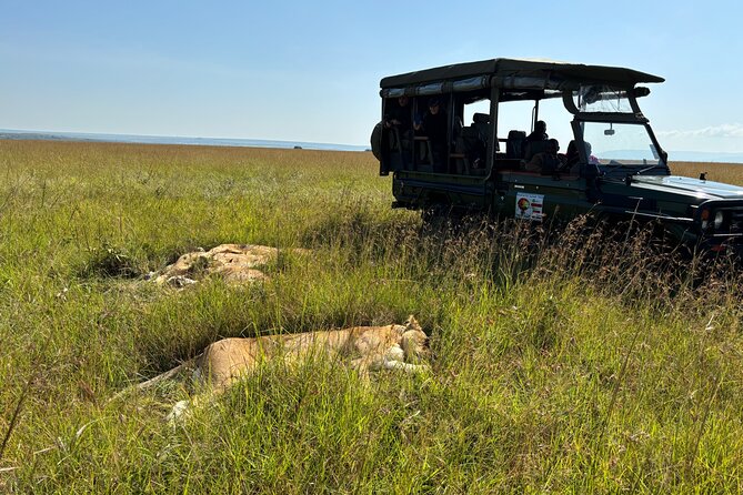4 Days 4WD Private Maasai Mara, Nakuru Parks with Lodge LUXURY - Who this safari is best for, and who should rethink it