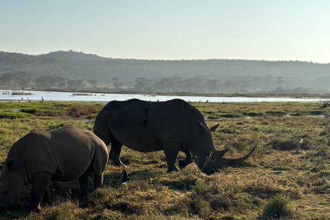 4 Days 4WD Private Maasai Mara, Nakuru Parks with Lodge LUXURY - Should you book this 4WD luxury Mara and Nakuru safari?