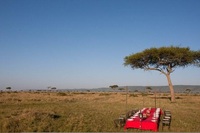 4 Days Enthralling Safaris in Kenya-lake Nakuru Masai Mara - Why Lake Nakuru and the Maasai Mara are a smart 4-day mix