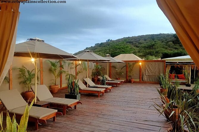 4 Days Enthralling Safaris in Kenya-lake Nakuru Masai Mara - Day 4: Early Mara drive, English breakfast, then back to Nairobi