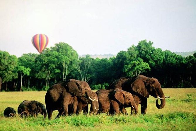 4 Days Enthralling Safaris in Kenya-lake Nakuru Masai Mara - Price and what you truly get for $871.80 per person