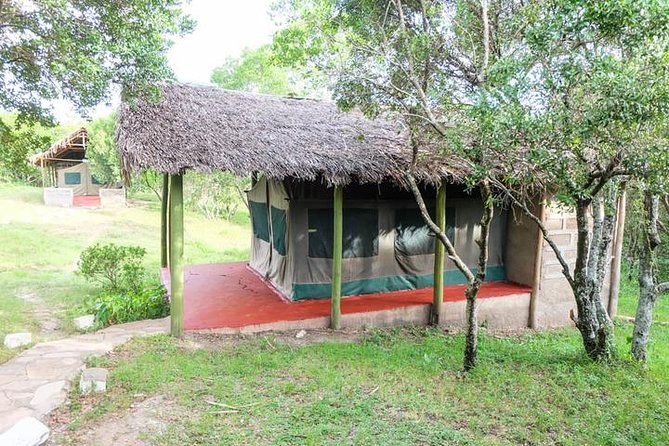 4 days group joining budget safari to Maasai Mara only - Day 2: Full Mara game day, Mara River timing, and optional Maasai village