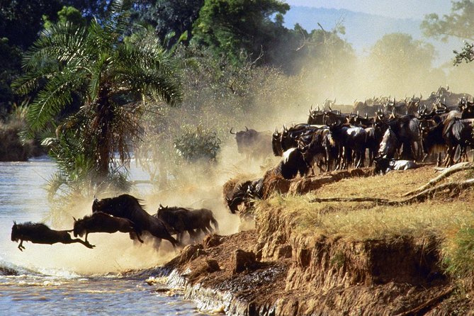 4 days group joining budget safari to Maasai Mara only - The pop-roof safari vehicle, and why your viewing quality improves