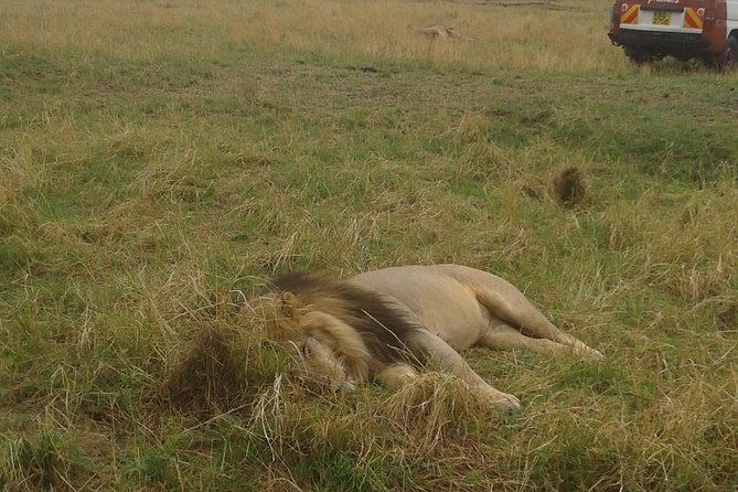 4 days group joining budget safari to Maasai Mara only - Day 1: Nairobi to Maasai Mara via the Rift Valley viewpoint and Narok picnic lunch