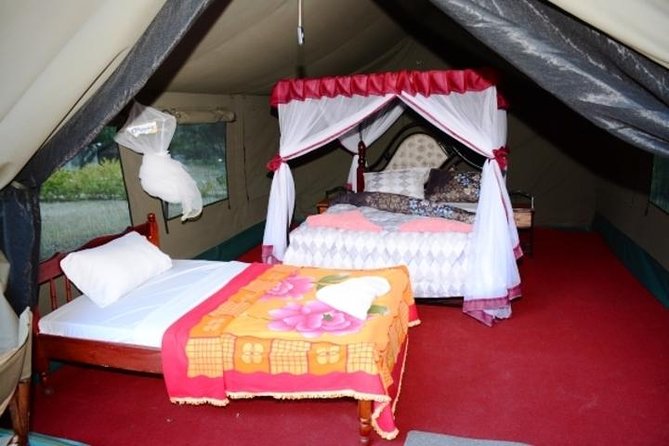 4 Days Group Joining Budget Safari To Masai Mara And Lake Nakuru National Park - Day two in Masai Mara: full day Big Five search and Mara River drama