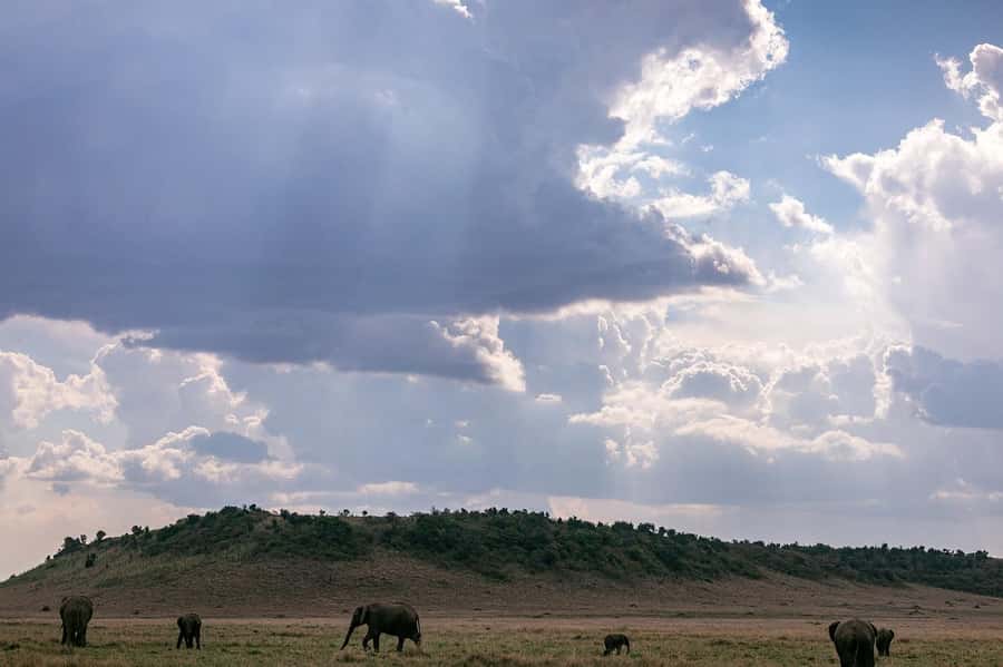4 days Group safari in Masaai Mara and Lake Nakuru Park - Day 3 Transfer to Lake Nakuru, With Naivasha Boat Viewing Option
