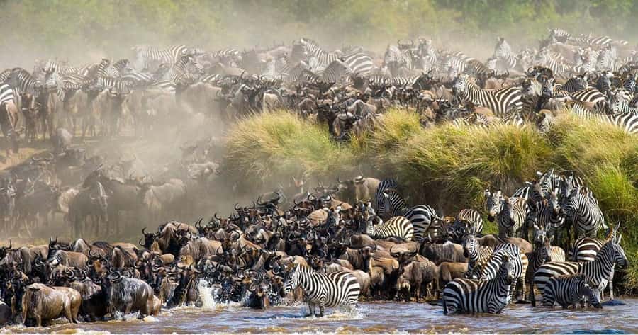 4 days Group safari in Masaai Mara and Lake Nakuru Park - Day 1 From Nairobi, Rift Valley Views, Then Sunset Game Drive