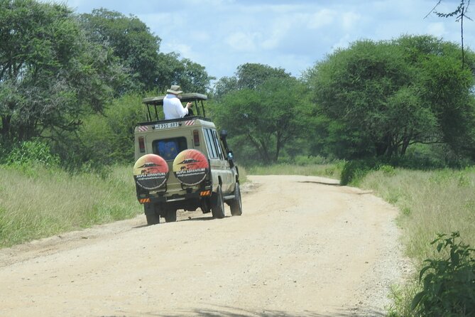 4 Days Kenya Safari - Day 1: Maasai Mara Pickup, Rift Valley Views, and Your First Game Drive