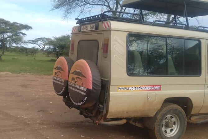 4 Days Kenya Safari - Day 4: Lake Nakuru Morning Game Drive, Black and White Rhinos, Then Back to Nairobi