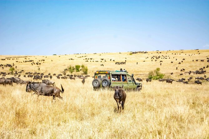 4 Days Lake Nakuru and Masai Mara Luxury Safari - Lake Nakuru: birds first, then rhino and giraffe sightings