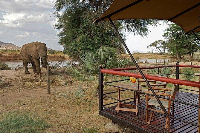 4 days Maasai Mara-Nakuru Mid-Range - Julia’s River Camp Lodge: where you recharge between drives