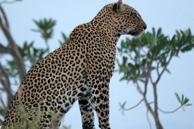 4 days Maasai Mara-Nakuru Mid-Range - Who this tour suits best, and who should be cautious