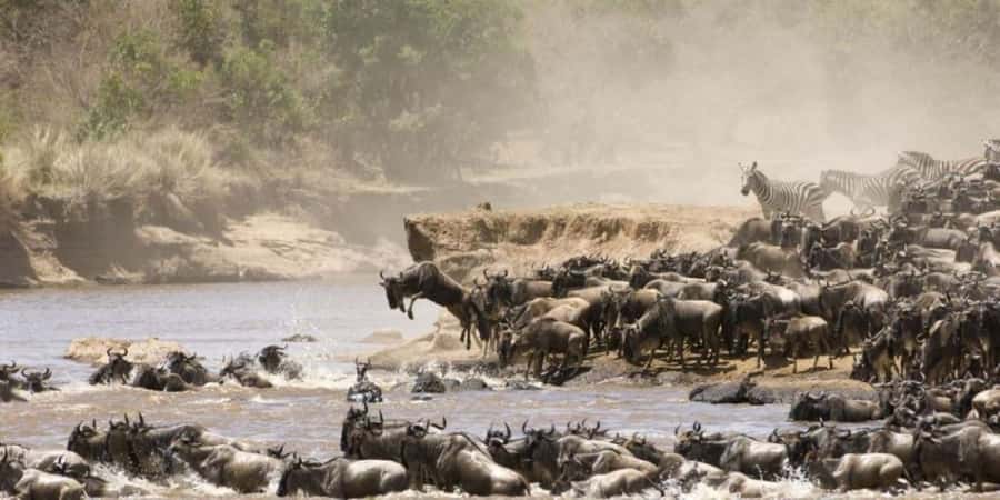 4 DAYS MAASAI MARA NATIONAL RESERVE GROUP SAFARI- 4WD - Day 1: sunset game drive from 4:00 pm to 6:00 pm