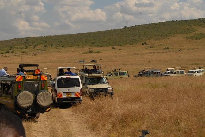 4 Days Masai Mara and Lake Nakuru Budget Safari Meals included - Day 4: white and black rhinos, Rothschild giraffe, and Lake Nakuru’s birding focus