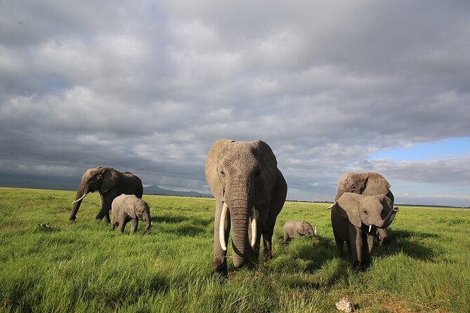 4 Days Masai Mara and Lake Nakuru Shared Camping Safari - Full Day in Maasai Mara: Mara River Focus and the Picnic Lunch
