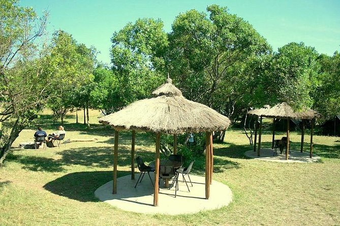 4 Days Masai Mara Camping Safari - Day 3 Full-Day Mara River Drive, then Hippo Pool Picnic