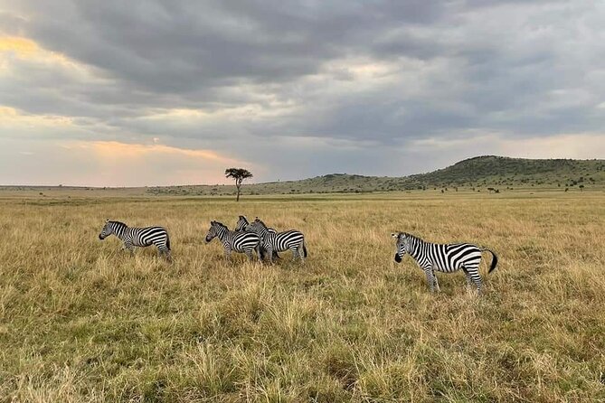 4 Days Masai Mara & Lake Nakuru Group Joining Safari - Lake Nakuru Day 4: Flamingos, rhinos, and heading back to Nairobi around 3pm
