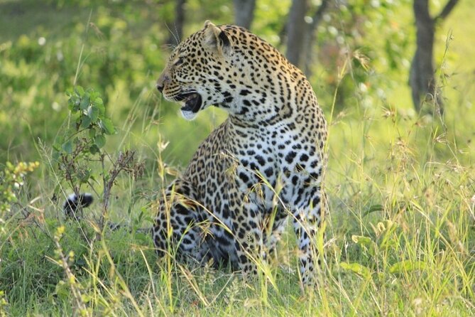 4 Days Masai Mara & Lake Nakuru Group Joining Safari - Lake Nakuru Day 3: Pink Lake country, optional Masai village, and a budget overnight