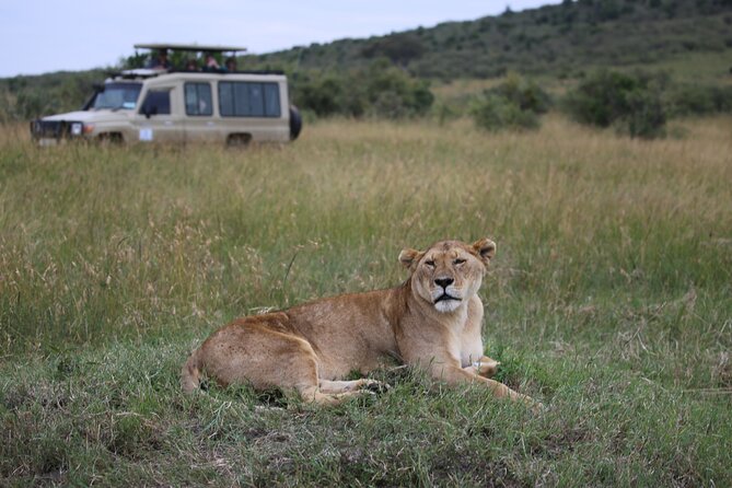 4 Days Masai Mara Lake Nakuru Jeep Safari - Day 1: Nairobi pickup at 8:00, Rift Valley viewpoint, and Mara River into Maasai Mara