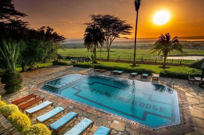 4 Days Masai Mara & Lake Nakuru Lodge Safari - Day 2 in Maasai Mara: Full Predator Day with Picnic Lunch