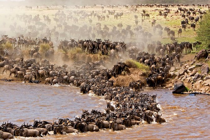 4 days masai mara Nakuru Joining safari - Meals and the real cost of not starving on safari