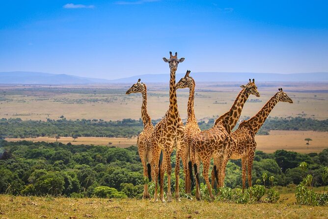 4 days masai mara Nakuru Joining safari - Optional Masai village and balloon safari: fun add-ons, real extra cost
