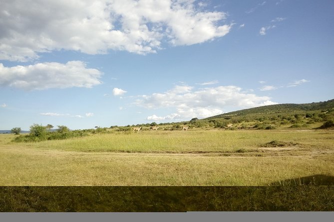 4 Days Masai Mara Nakuru - Lake Nakuru and the Soda-Lake Rift Valley Feel