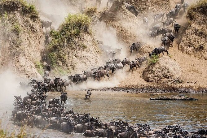 4 Days Mid Luxury Safari, Lake Nakuru and Masai Mara. - What you’re actually paying for: $2,200 and the value math