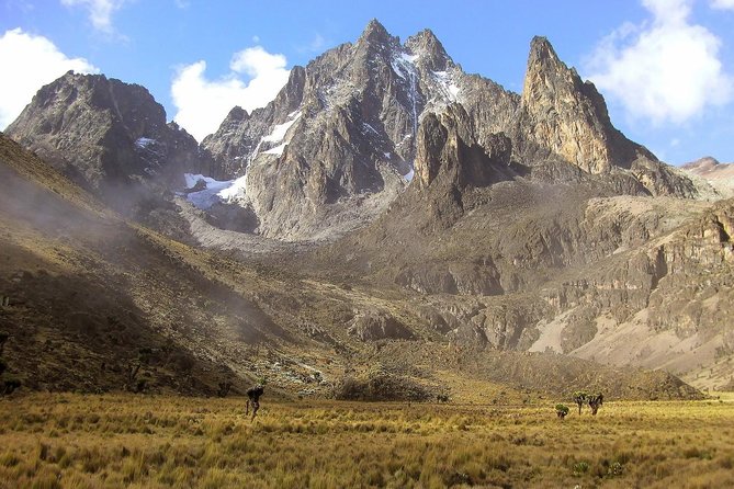 4 Days Mount Kenya Trekking - Key Highlights You Can Feel Day One