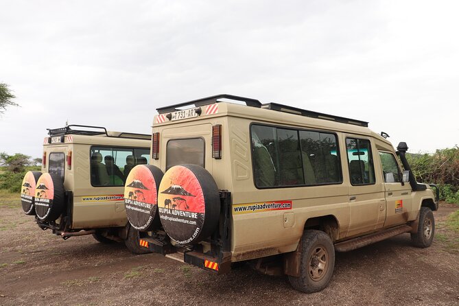 4 Days Mount Kenya Trekking - Day 4: Rainforest Descent and Your Return to Nairobi