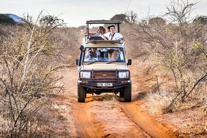 4 Days Private Safari Tour Tsavo and Amboseli from Nairobi - Quick highlights