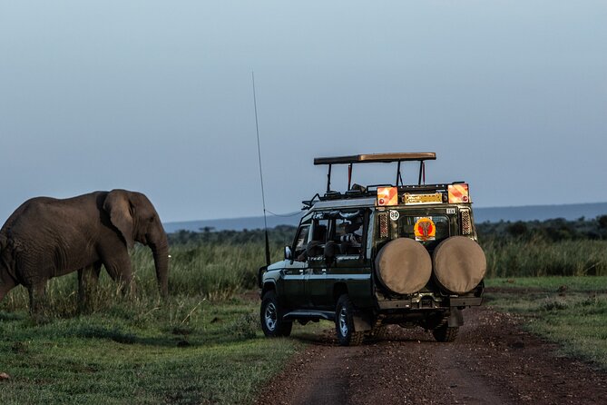 4 Days Safari from Mombasa to Amboseli and Tsavo West and East - Key highlights you should care about