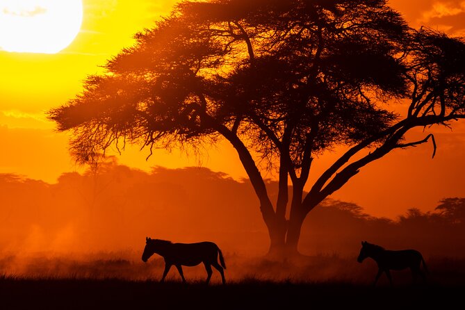 4 Days Safari from Mombasa to Amboseli and Tsavo West and East - Licensed guide time is the difference between seeing and understanding