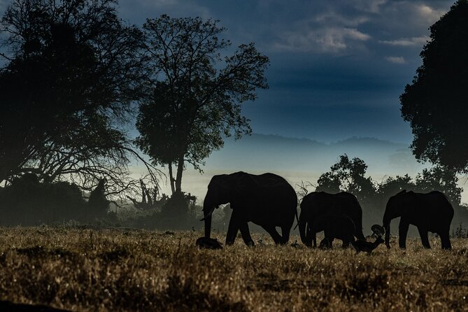 4 Days Safari from Mombasa to Amboseli and Tsavo West and East - Tsavo West: lesser kudu and a rhino sanctuary stop