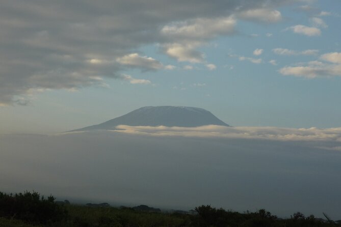 4 Days Safari to Amboseli N/P, Tsavo East N/P. - Day 2 in Amboseli: full-day driving, picnic lunch at Observation Hill