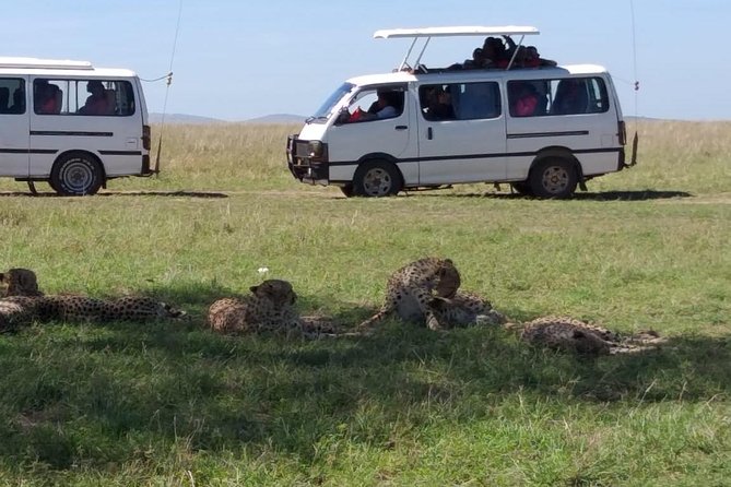 4 Days Small Group Maasai Mara and Lake Nakuru Safari - Price and Value: What Your $311.69 Covers, and What You Must Budget