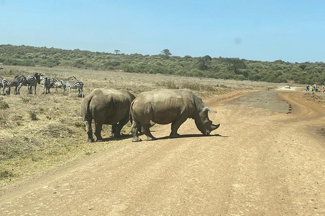 4 Days Tour Landcruiser in Masai Mara and Lake Nakuru - Day 4 Half-Day Game Drive And Flamingos That Turn The Shore Pink
